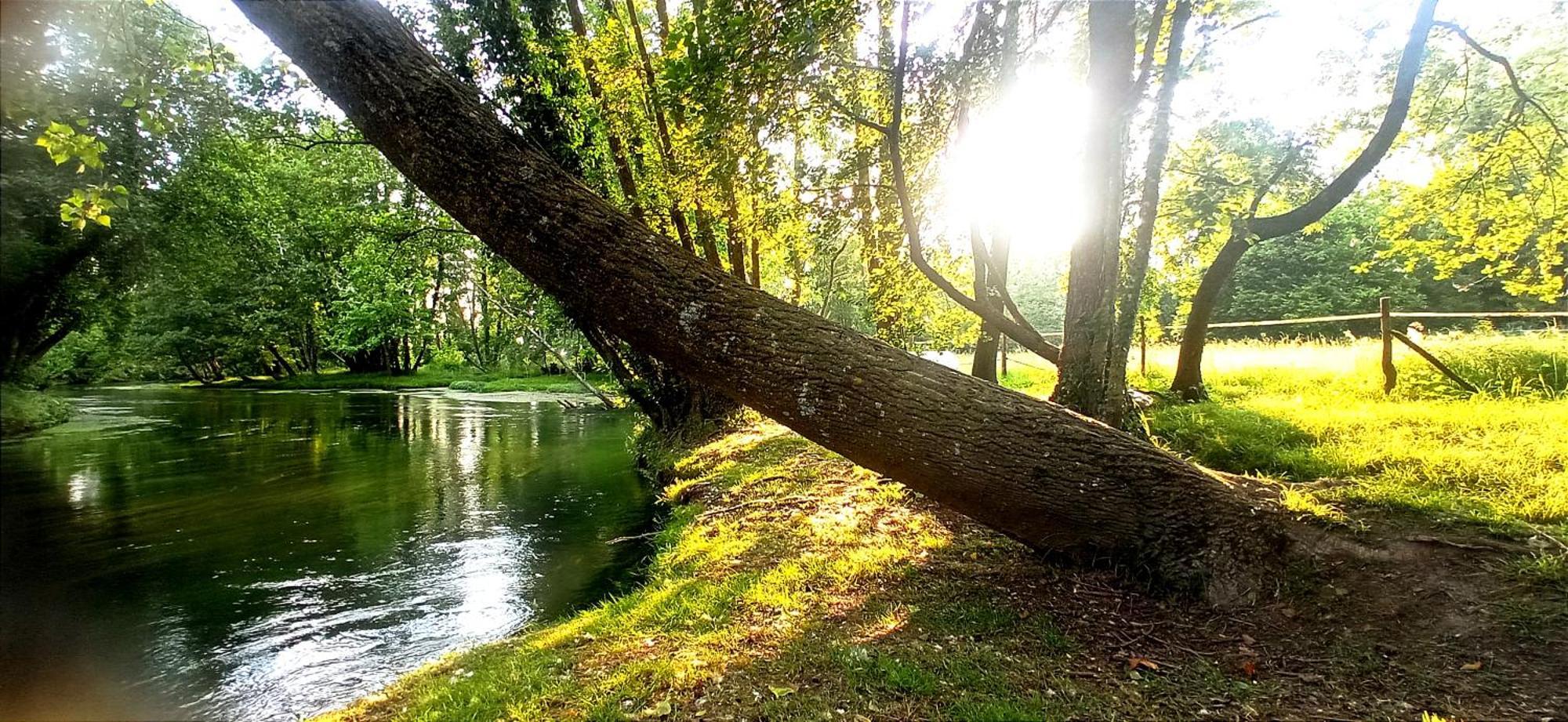 La Regina Del Bosco Villa Rivignano Екстериор снимка