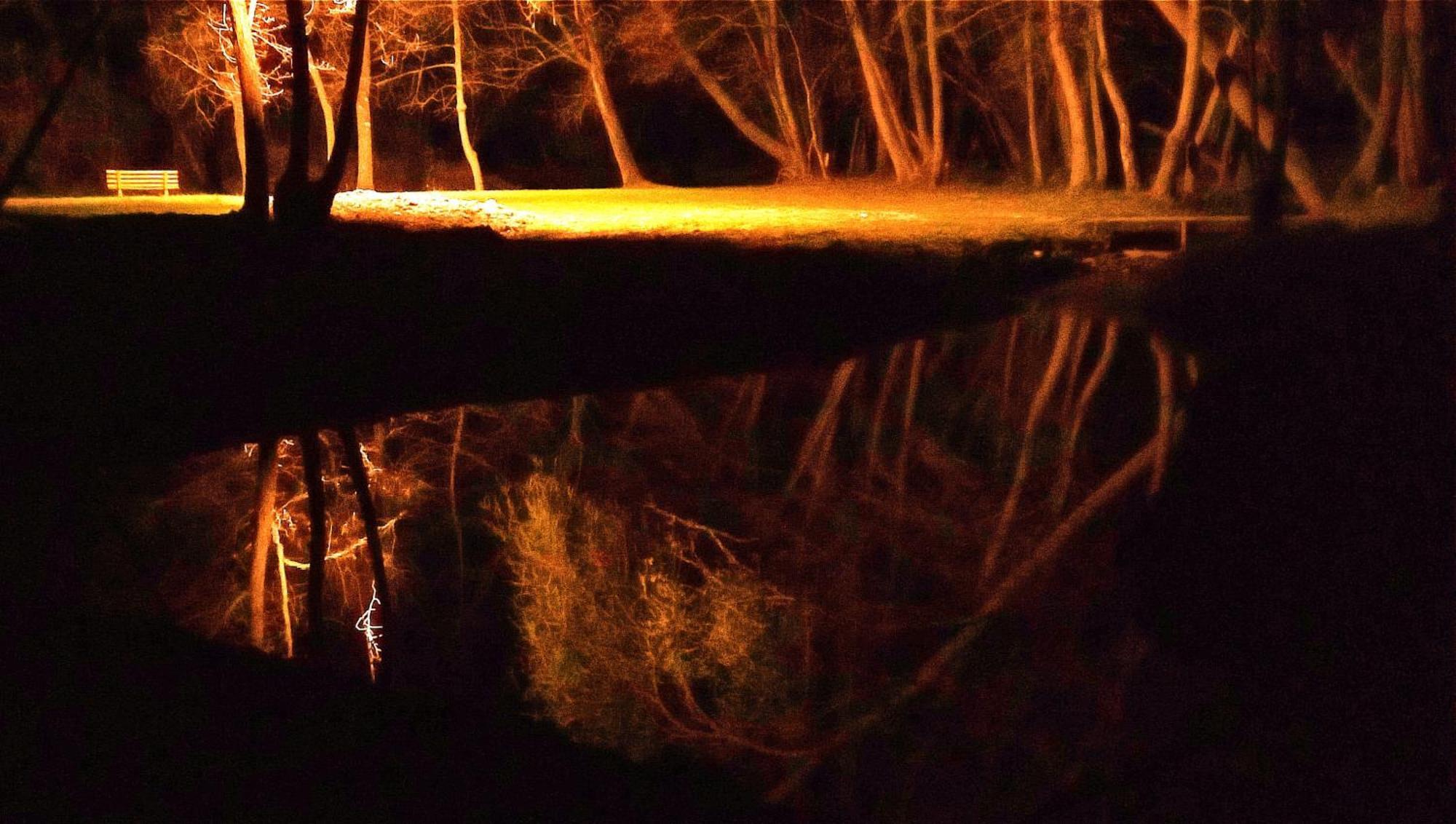 La Regina Del Bosco Villa Rivignano Екстериор снимка